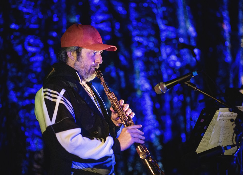 Leue - Koningspinguin (c) Sara De Graeve