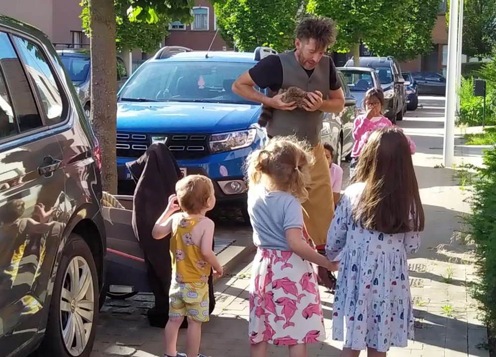 ZomerSurprises cc Het Bolwerk