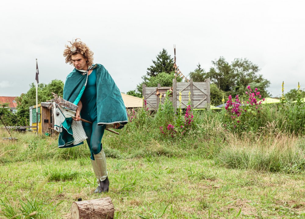 Stok Paard prins (c) Michiel Devijver