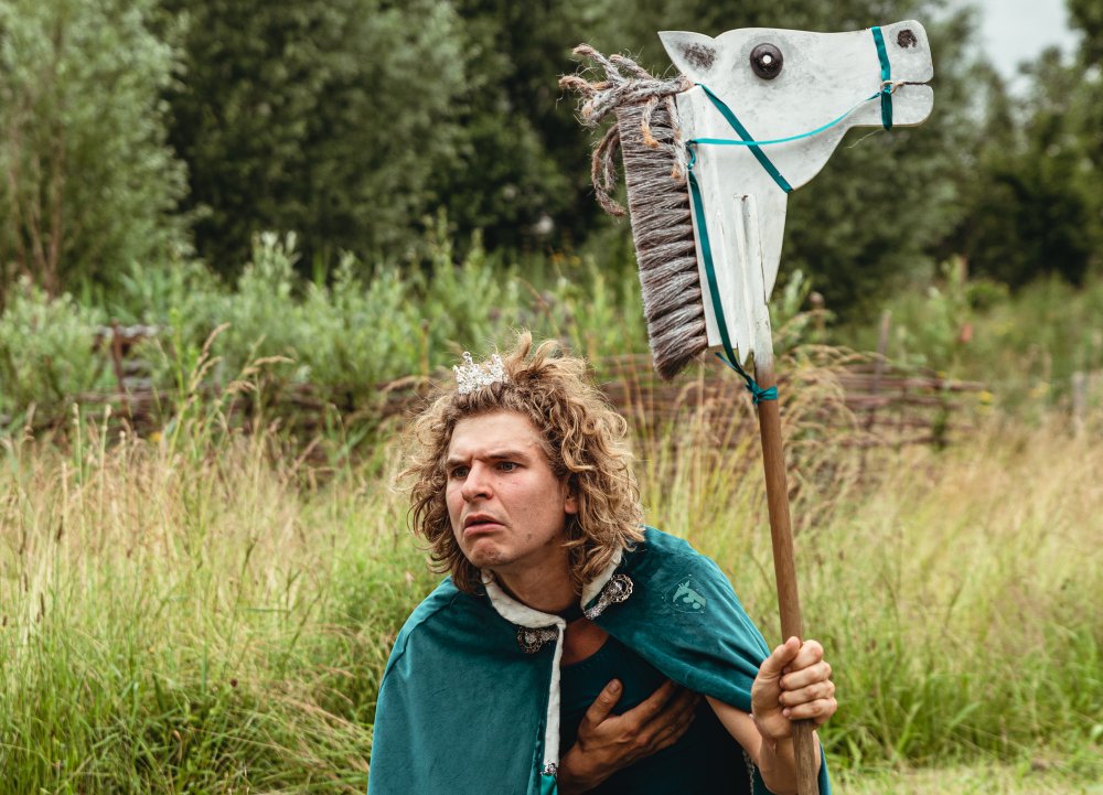 Stok Paard prins (c) Michiel Devijver