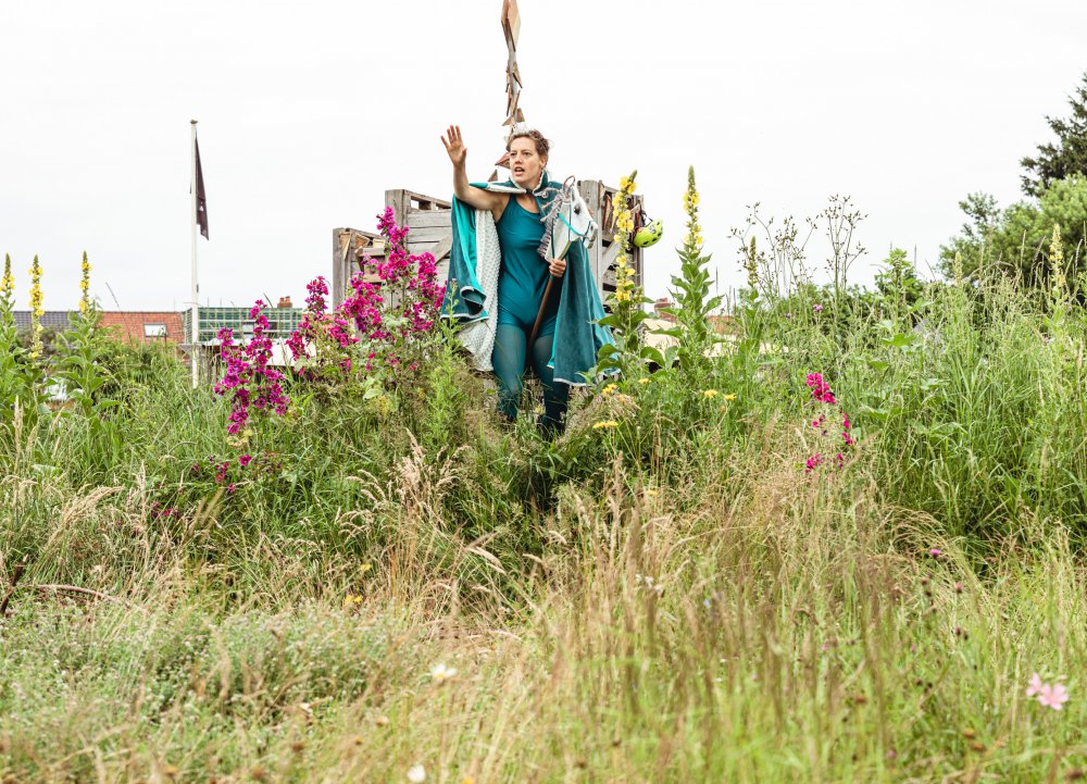 Stok Paard prins (c) Michiel Devijver