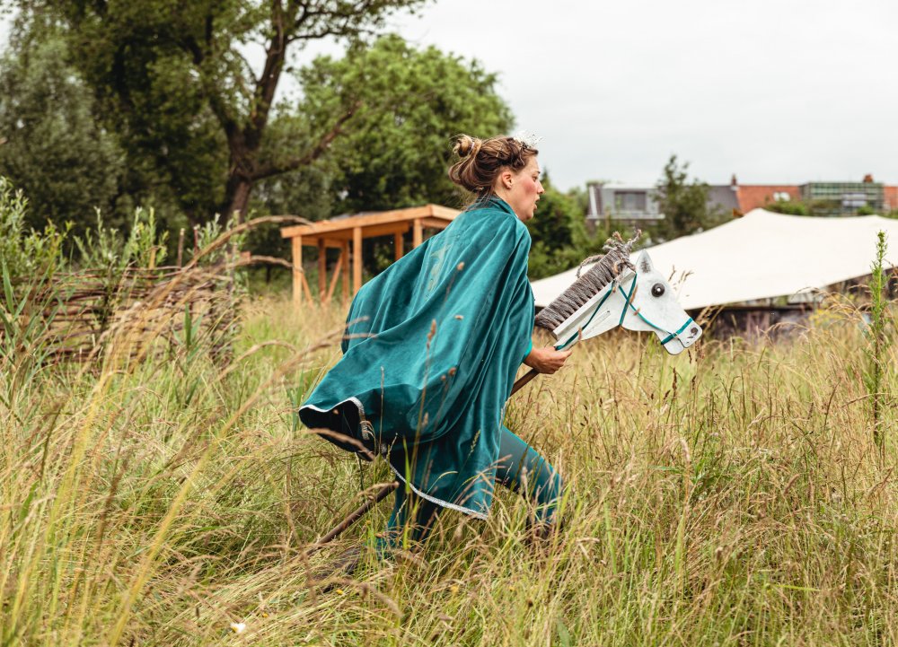 Stok Paard prins (c) Michiel Devijver