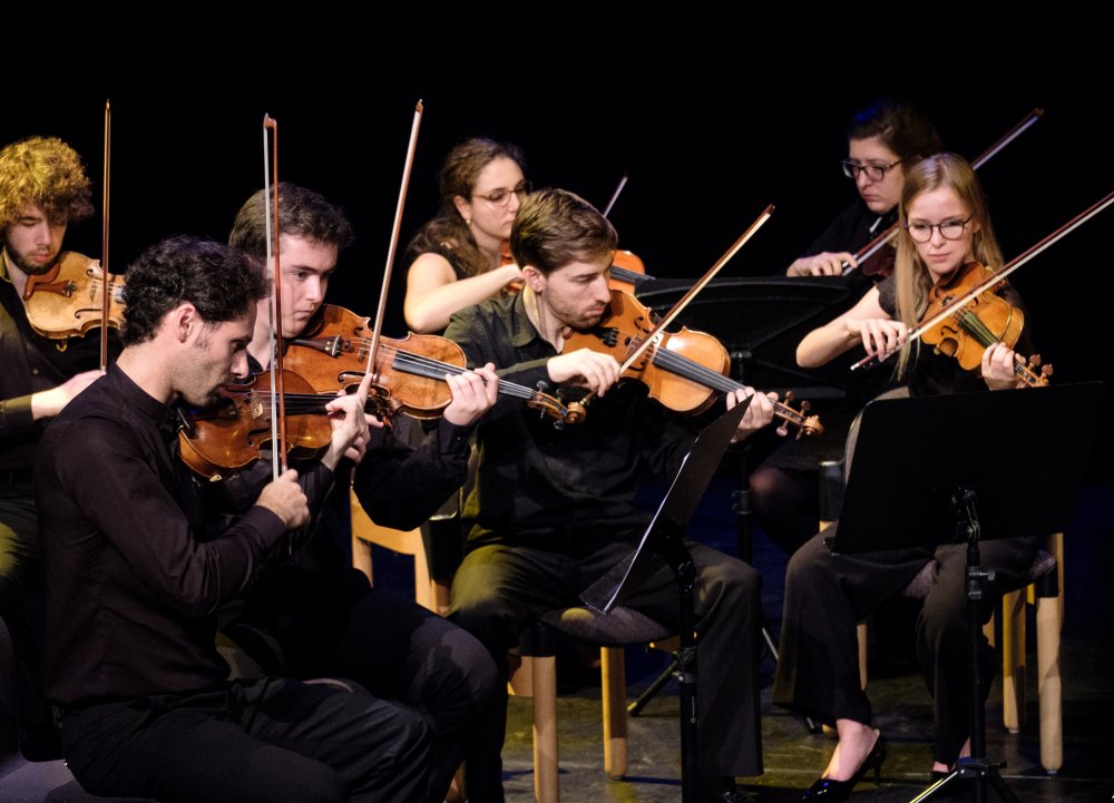 c_Sam Van Den Brandt