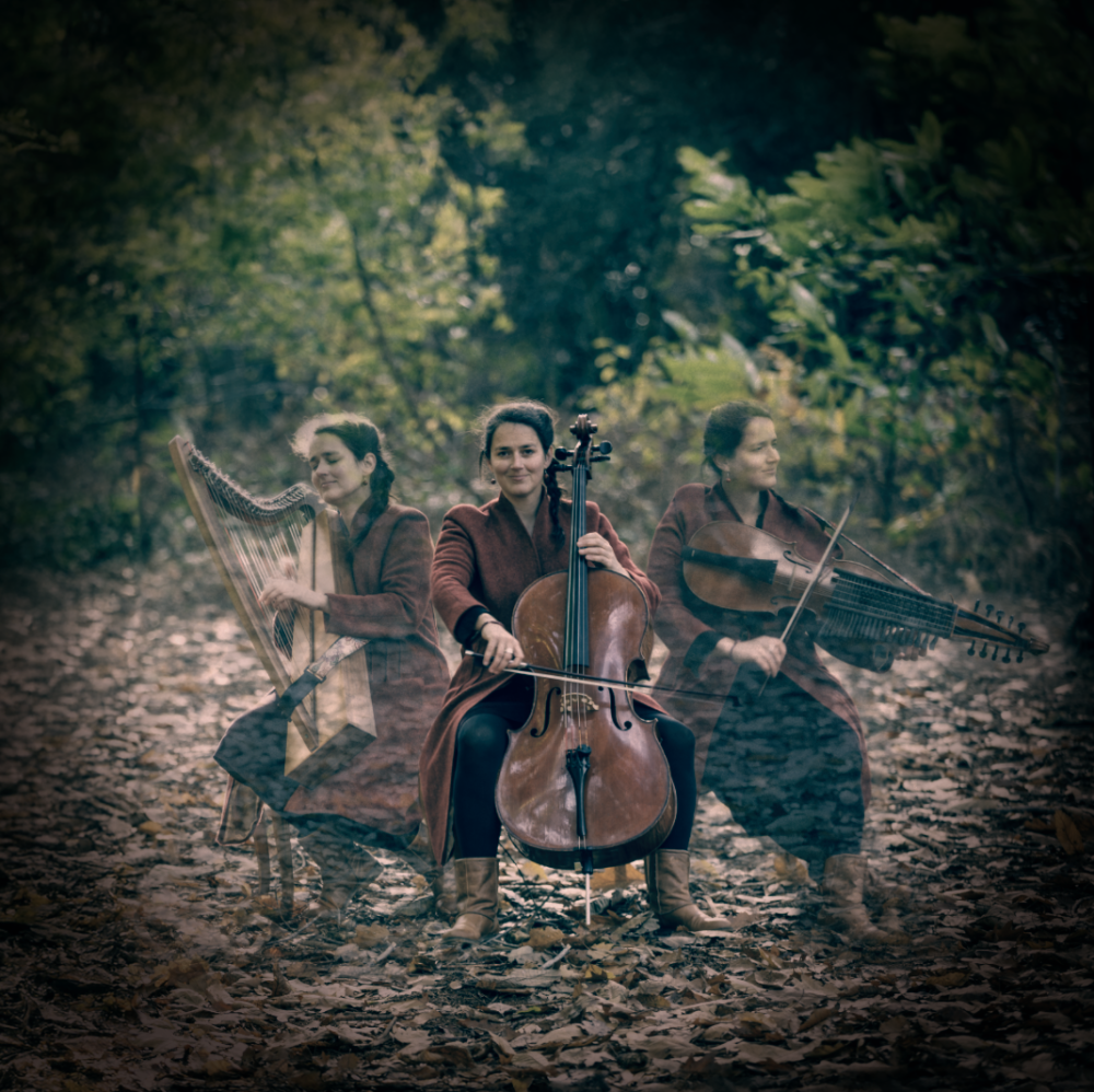 seraphine@cchetbolwerk