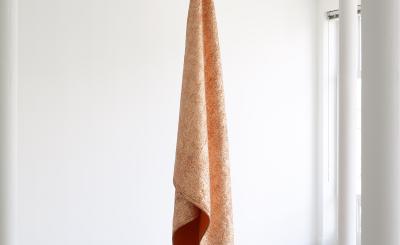 Edith Dekyndt - zonder titel (courtesy: Galerie Greta Meert, Brussel)