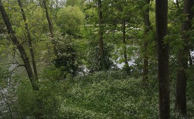 Locaties Sporen