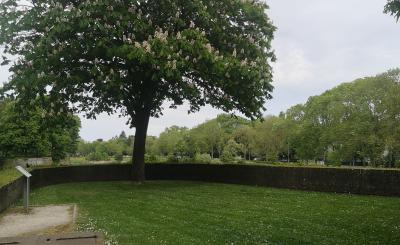 Locaties Sporen