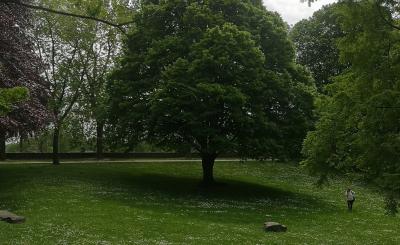 Locaties Sporen