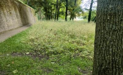 Locaties Sporen