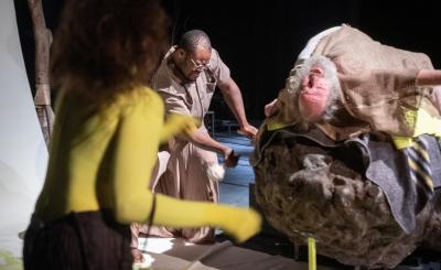 © Kurt Van der Elst Foe