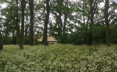 Locaties Sporen