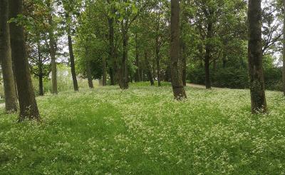 Locaties Sporen