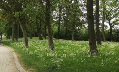 Locaties Sporen
