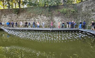 Sporen 24
