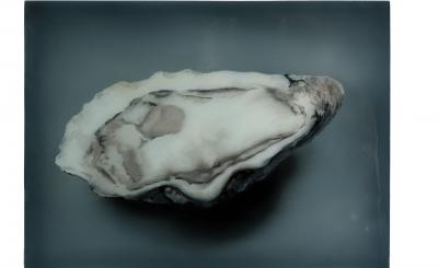 Sarah De Vos - Oyster n°4 (foto ©Peter Stuijk) 