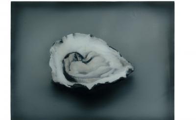 Sarah De Vos - Oyster n°5 (foto ©Peter Stuijk) 
