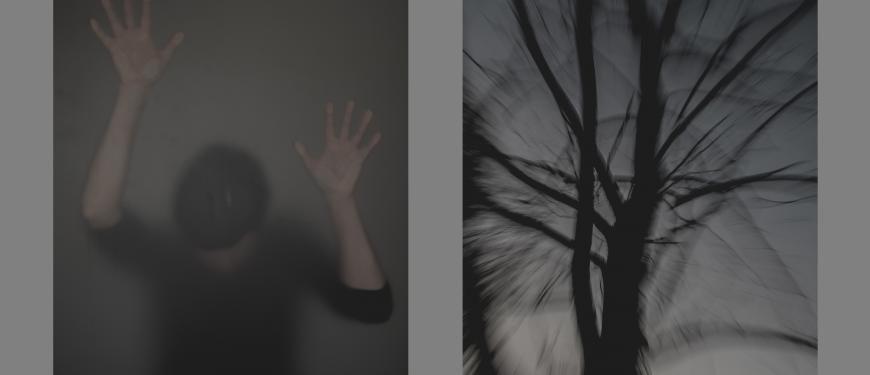 © Valerie Naessens
