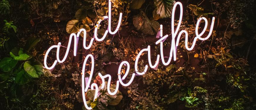 mind - ©foto: Max van den Oetelaar (unsplash)