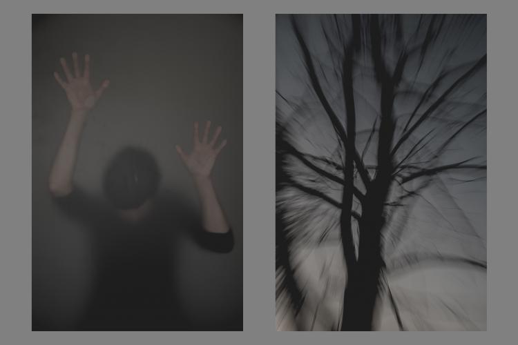 © Valerie Naessens