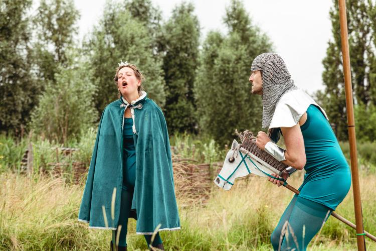 STOKPAARDPRINS - ©Michiel Devijver