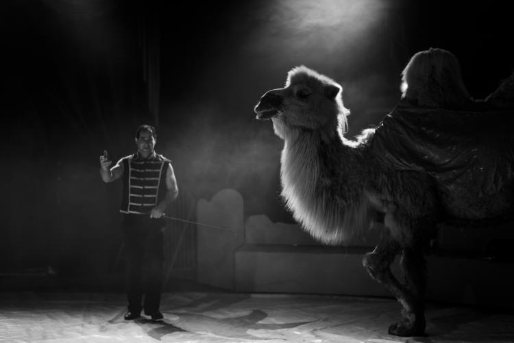 © Sigrid Debusschere