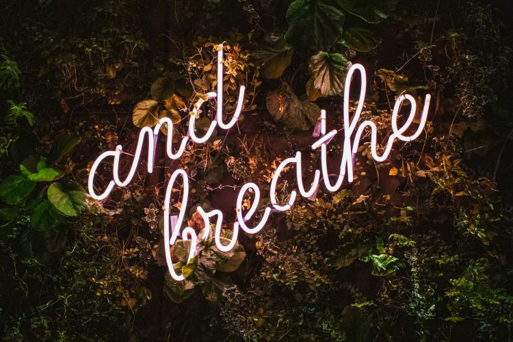 mind - ©foto: Max van den Oetelaar (unsplash)