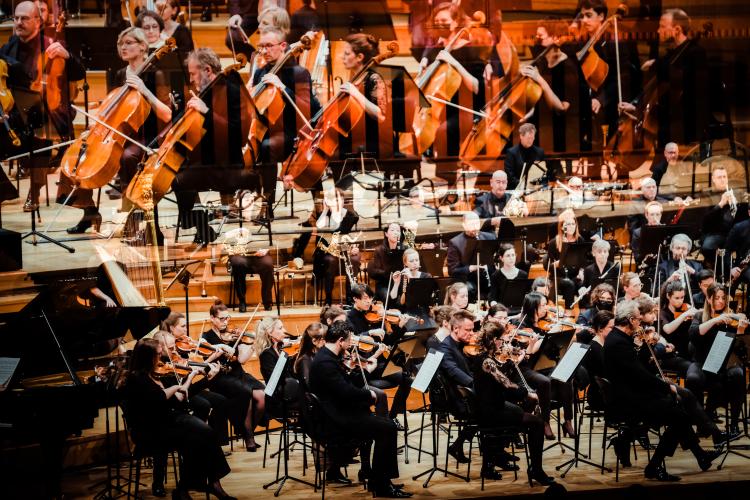 Brussels Philharmonic - foto©Wouter van Vaerenbergh