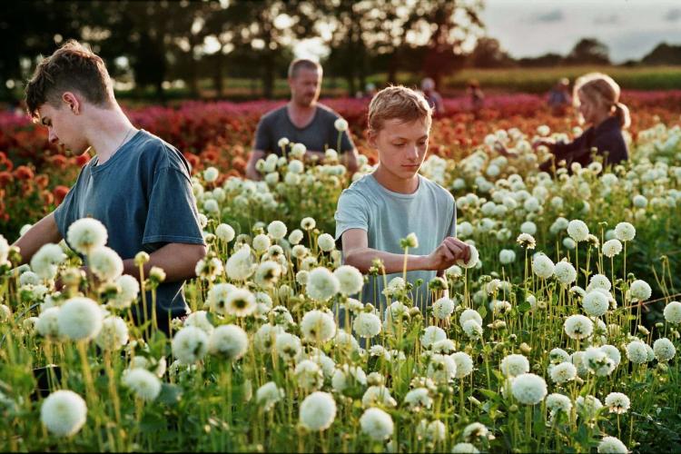Close - filmstill