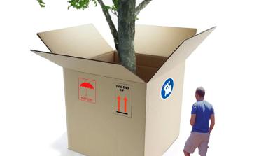 GARDENING TIP NO.12 (How to unpack a tree - full instructions inside) - Bob Budd (GB)