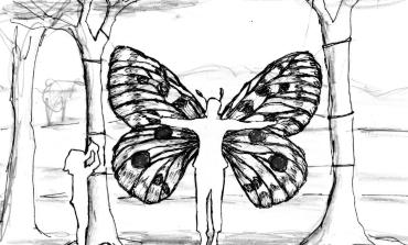 Comme un papillon
