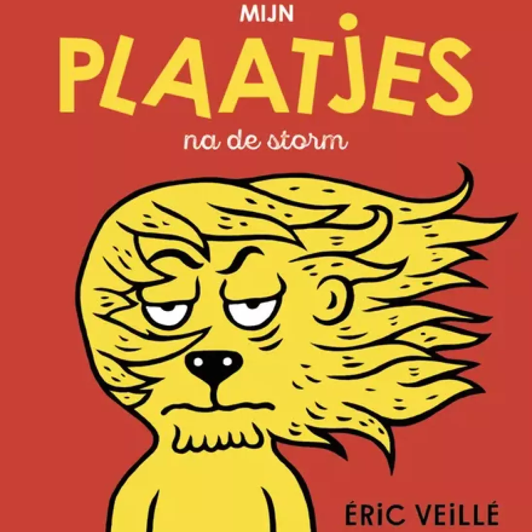 Mijn plaatjes na de storm