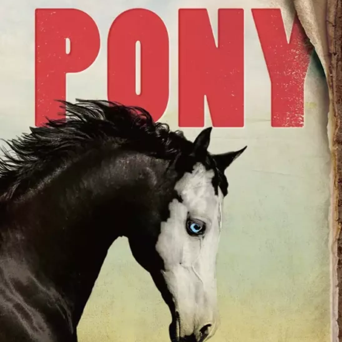 Pony Pony
