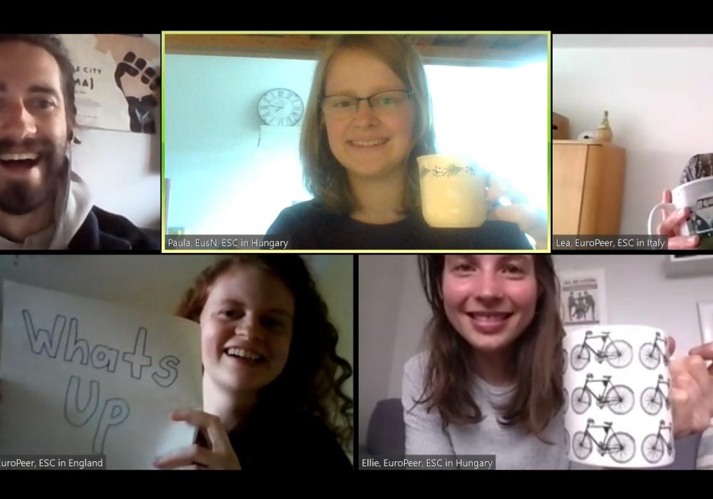 Online meeting What's Up, screenshot