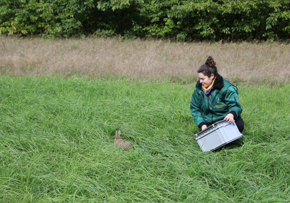 Ana vrijwilligt in het Natuurhulpcentrum 