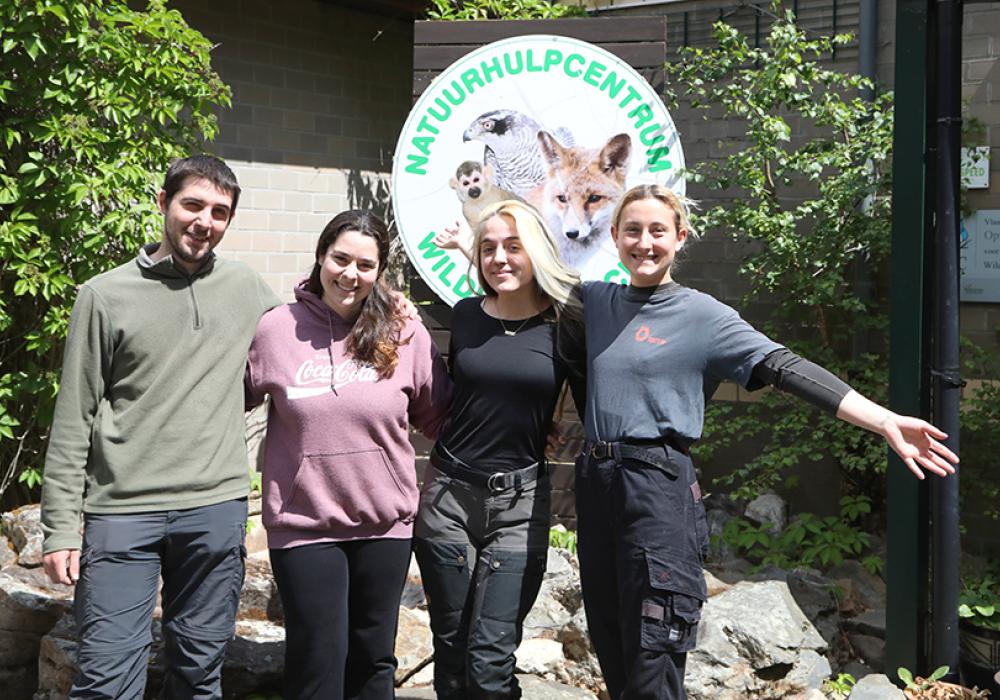 Europese vrijwilligers in het Natuurhulpcentrum