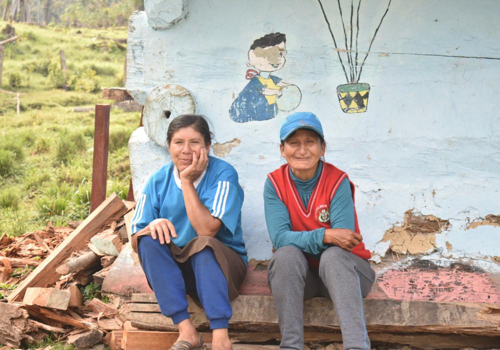 Alto Huayabamba natuurbehoudproject