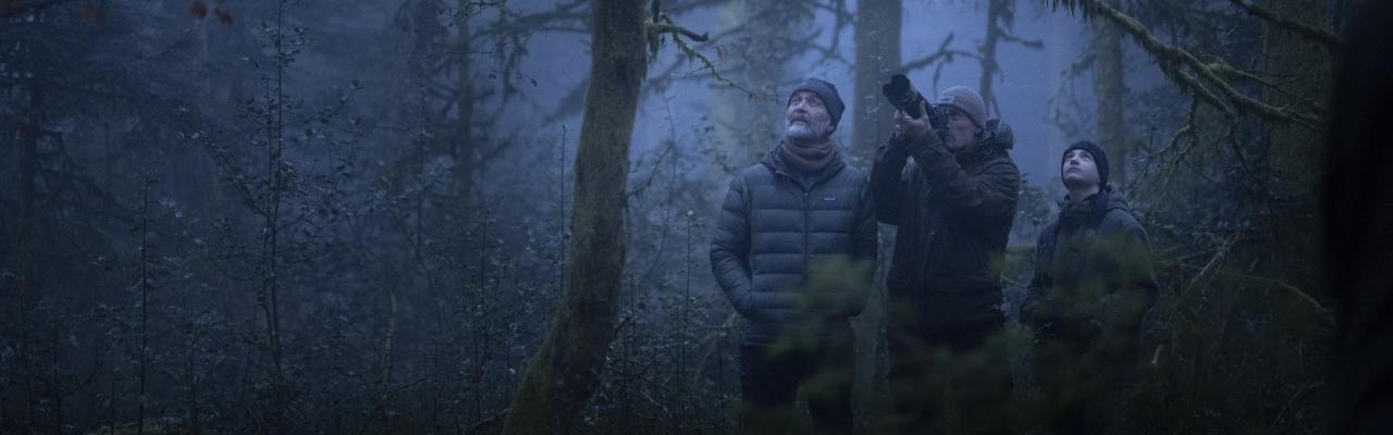 Evenementfoto Le Chant des forêts