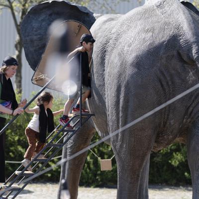 Evenementfoto Tembo