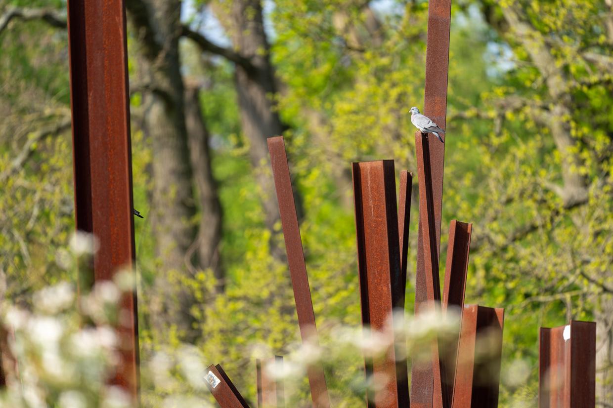 Een holenduif op 'Beam Drop Antwerp' (2009) van Chris Burden