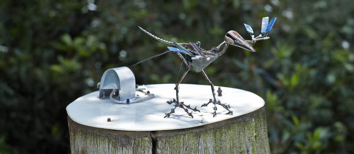 Archaeopterix Lithografica