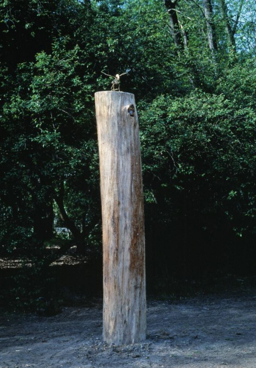 Panamarenko, 'Archaeopterix Lithografica (Exhibition copy)'