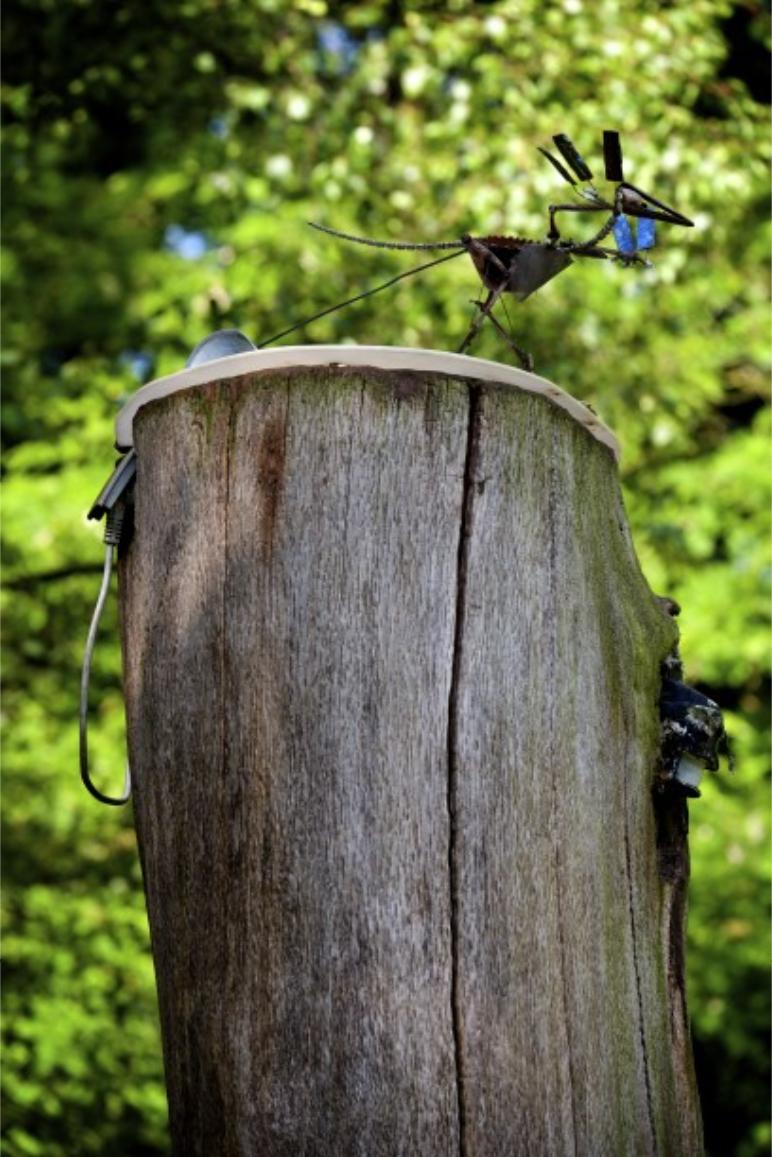 Panamarenko, 'Archaeopterix Lithografica (Exhibition copy)'