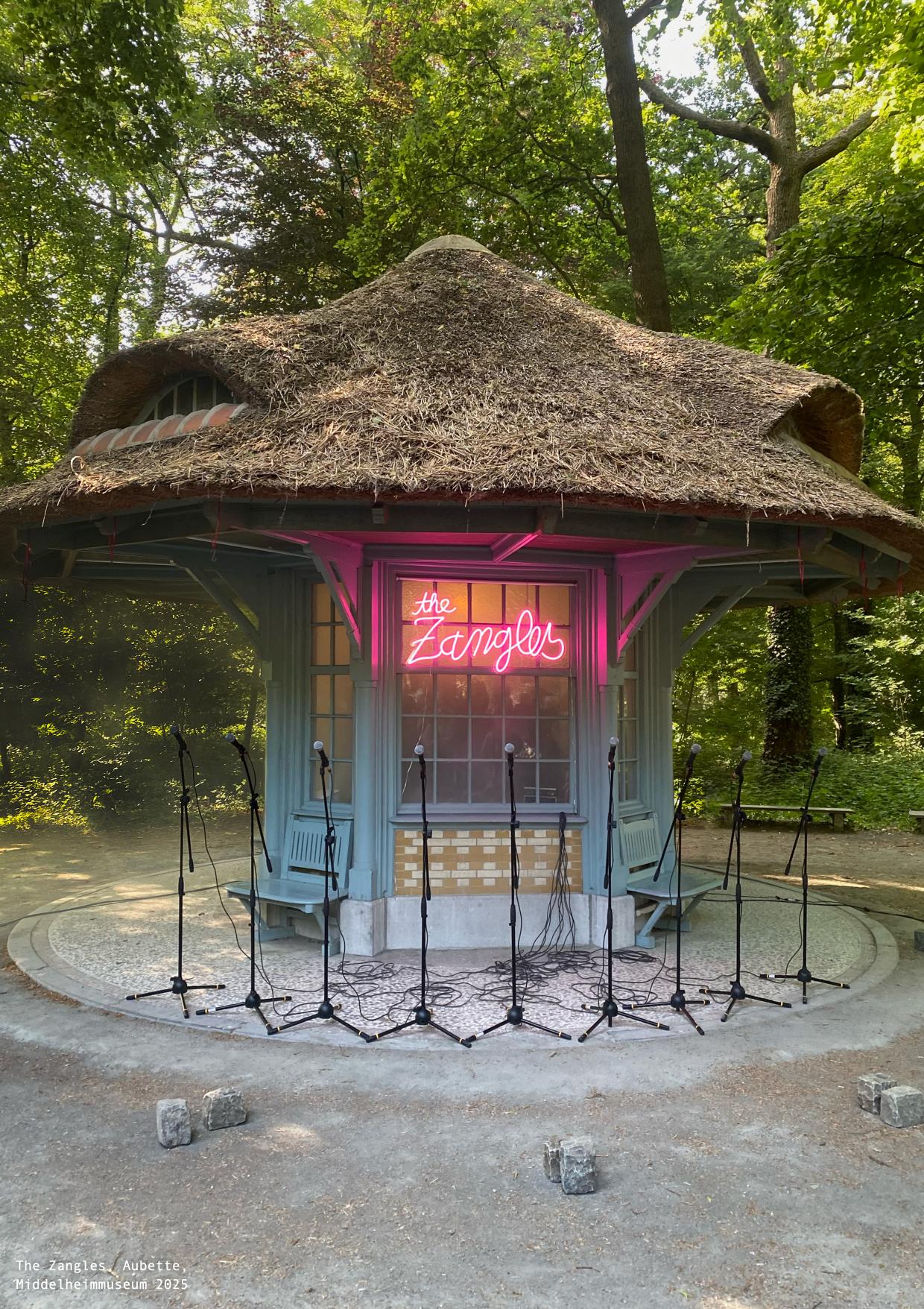 Artist Poster The Zangles