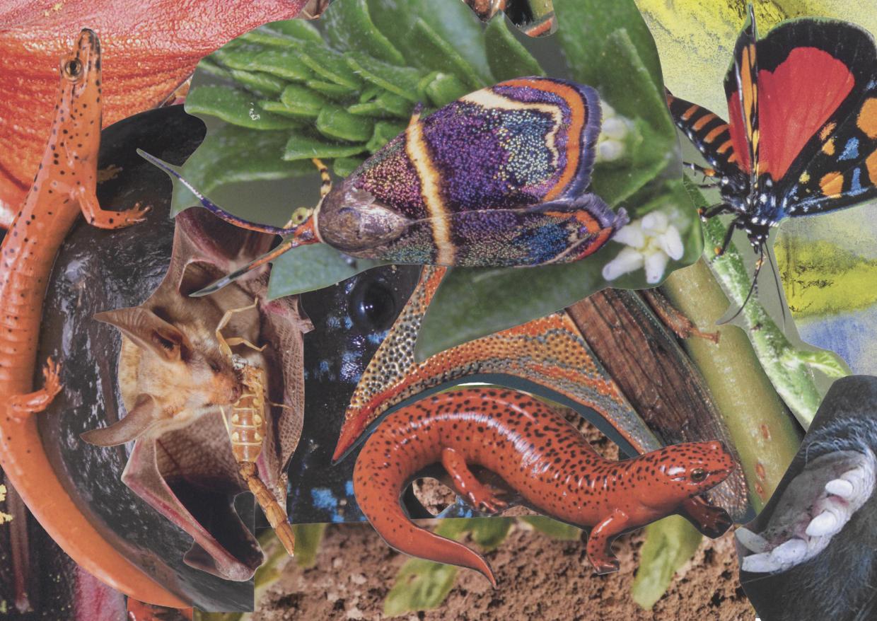 Monster Chetwynd, collage voor Artist Poster