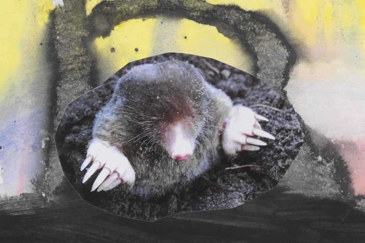 Monster Chetwynd, collage