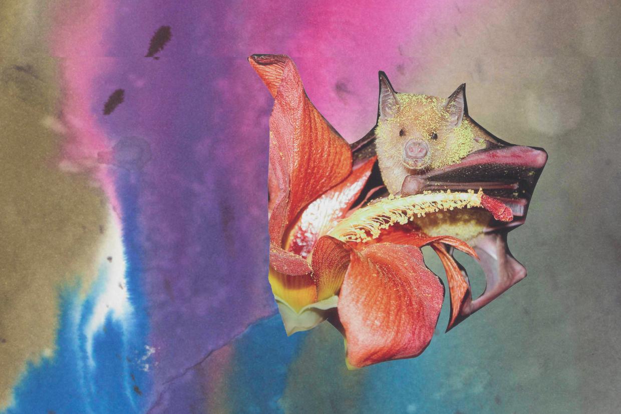 Monster Chetwynd, collage