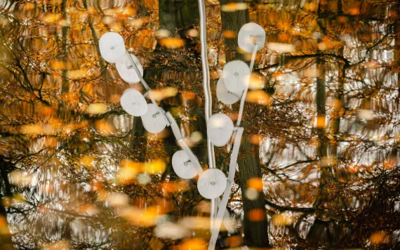 Photo © Tom Cornille