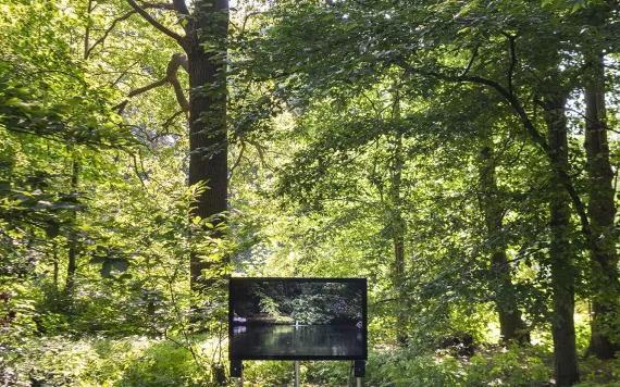 Paul Kindersley, 'The Dreamer of the Forest' - Photo © Léonard Pongo