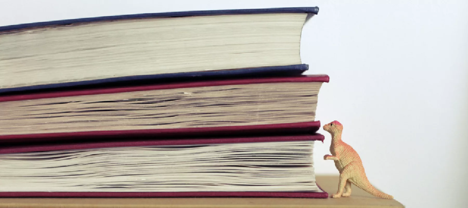 Mooss - Magische boeken Mooss - Magische boeken