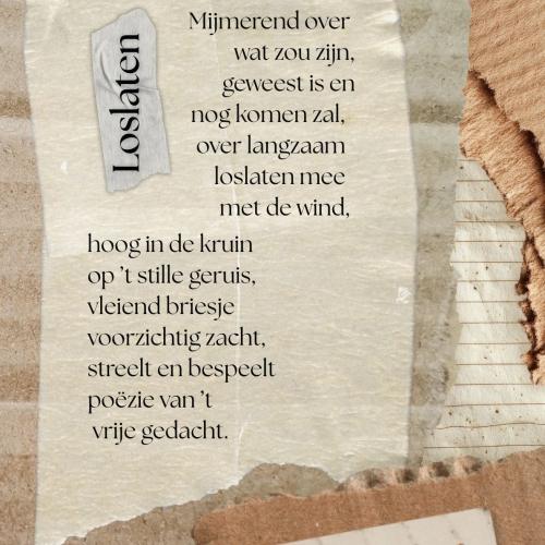 Layout by Ezra van der Meiden 